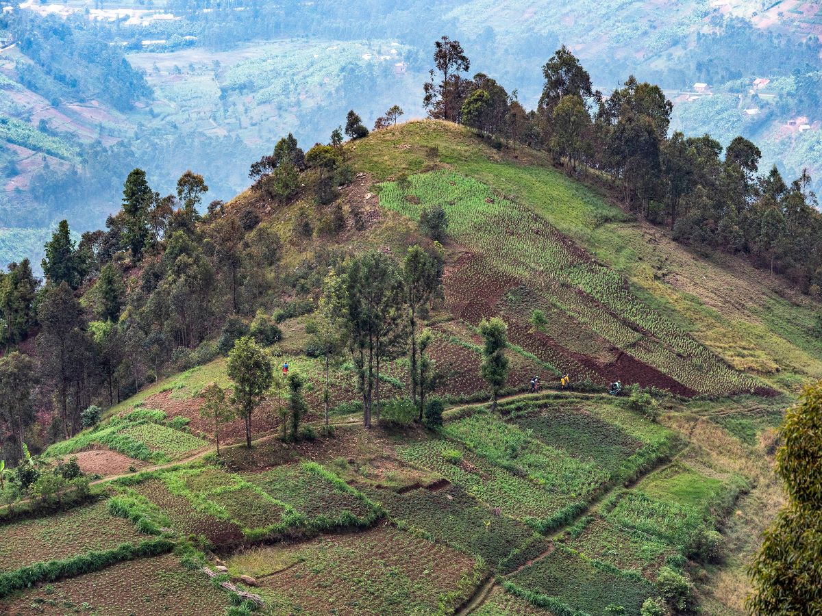 Reportaje especial: MTB en Ruanda
