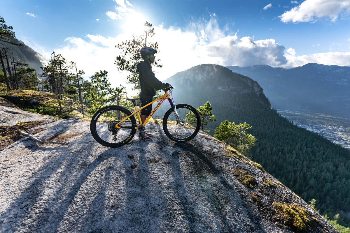 Mtb santa deals cruz chameleon