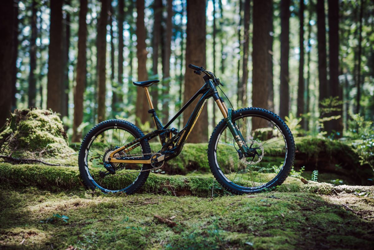 Nueva FOX 38 Racing Green… ¡Y una Orbea Rallon personalizada que puedes ganar en un sorteo!