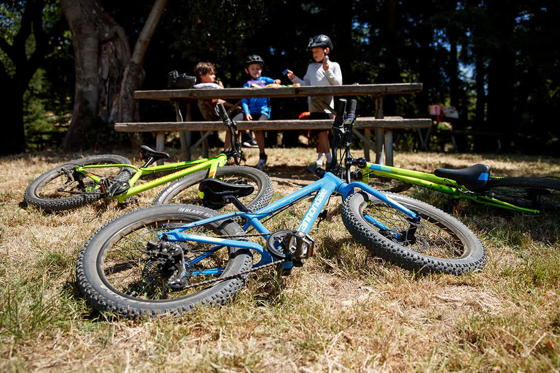 Cannondale Kid Correct