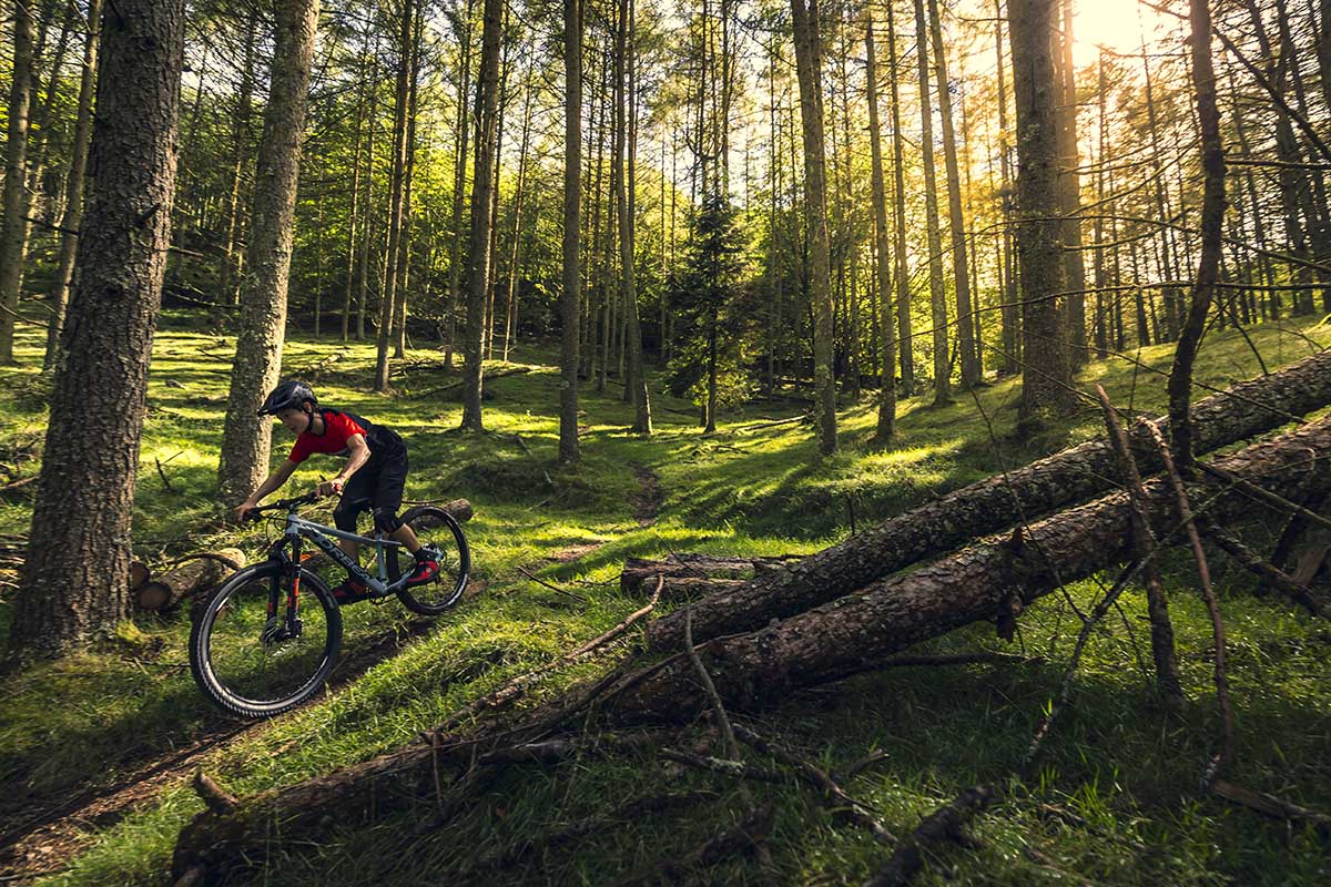 Orbea MX y Laufey Junior