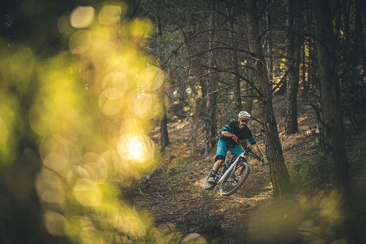 Haibike Flyon Xduro Allmtn 5.0
