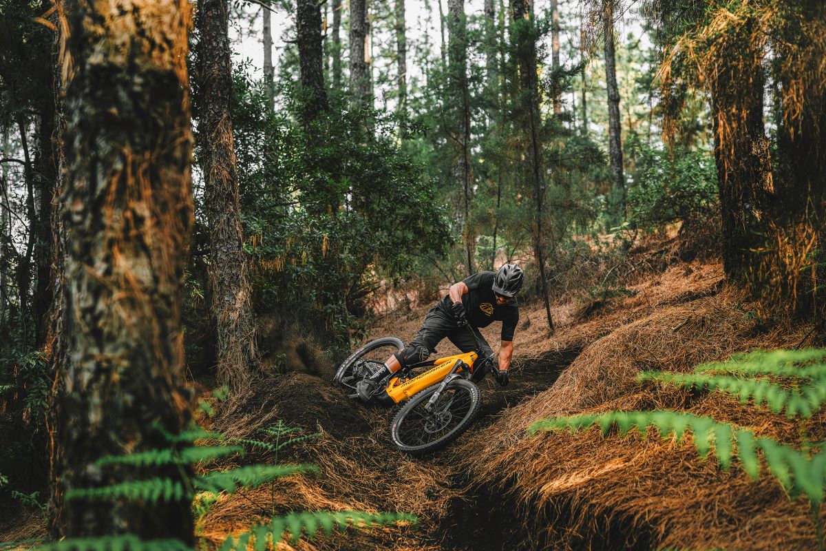 E-mtb ‘ligeras’ o ‘full power’ ¿Cuál es la mejor opción?