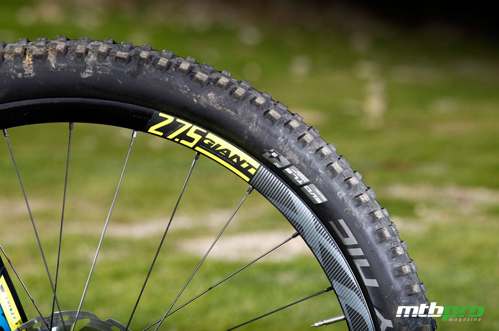 Giant Anthem Advanced 1- Ruedas Giant Anthem Advanced 1- Ruedas