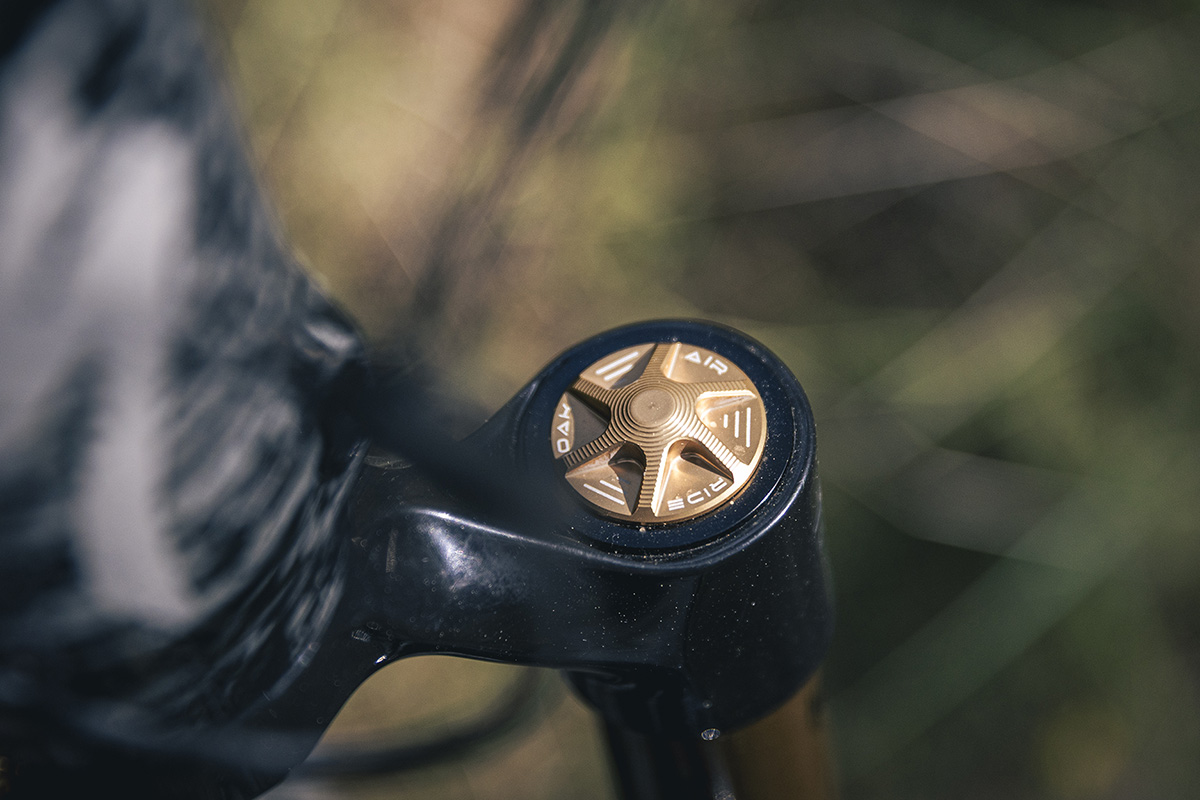 Haz tu bici única con OAK Components. #BikeCheck Specialized Turbo Levo “OAK Edition”
