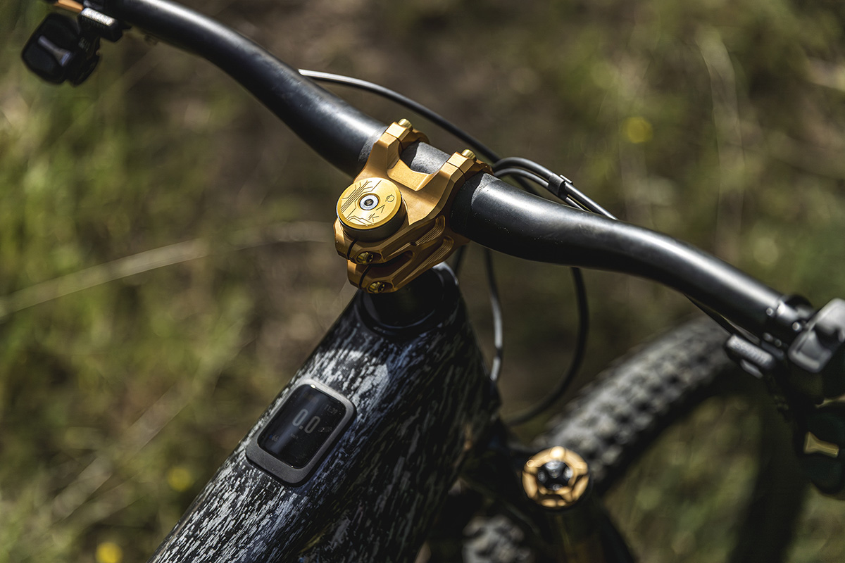 Haz tu bici única con OAK Components. #BikeCheck Specialized Turbo Levo “OAK Edition”