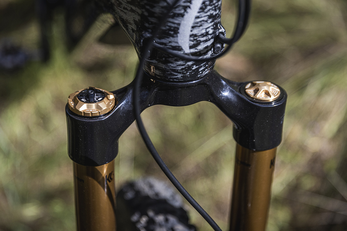 Haz tu bici única con OAK Components. #BikeCheck Specialized Turbo Levo “OAK Edition”