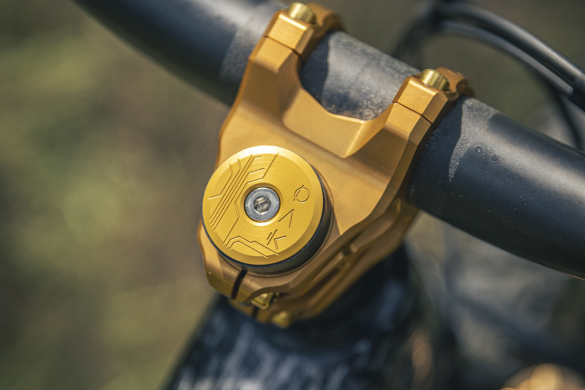 Haz tu bici única con OAK Components. #BikeCheck Specialized Turbo Levo “OAK Edition”