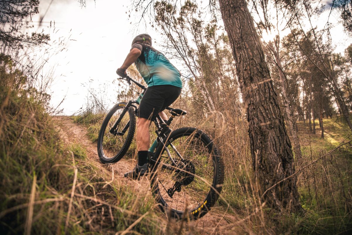Domina las subidas: 3 consejos para subir más rápido con tu MTB