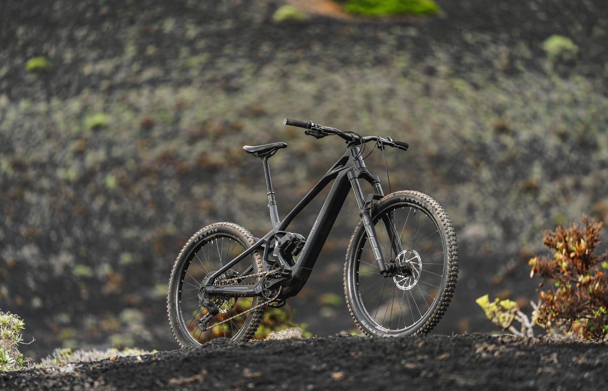 Guía de Compra: 10 eBikes con Avinox M2S desde 5.000 €