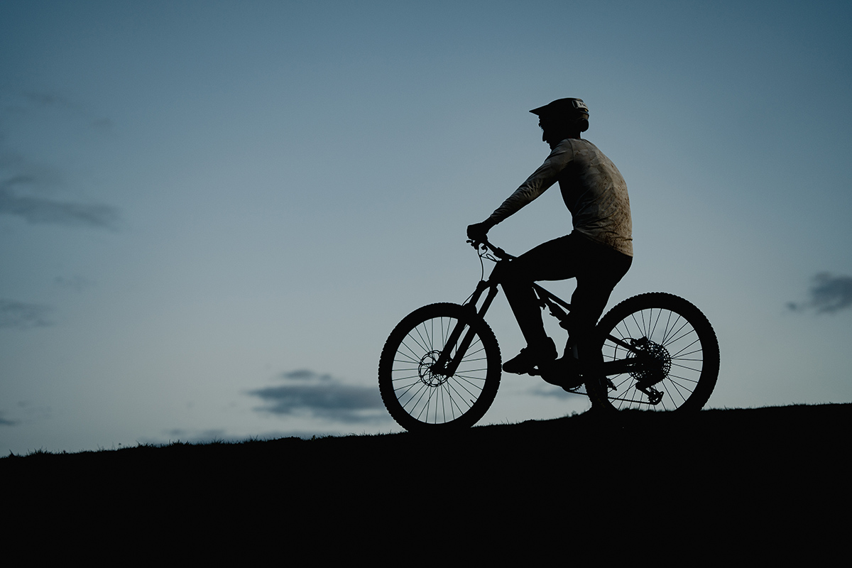 La importancia del desarrollo del hardware y el software para e-bikes. El ejemplo del Mahle M40