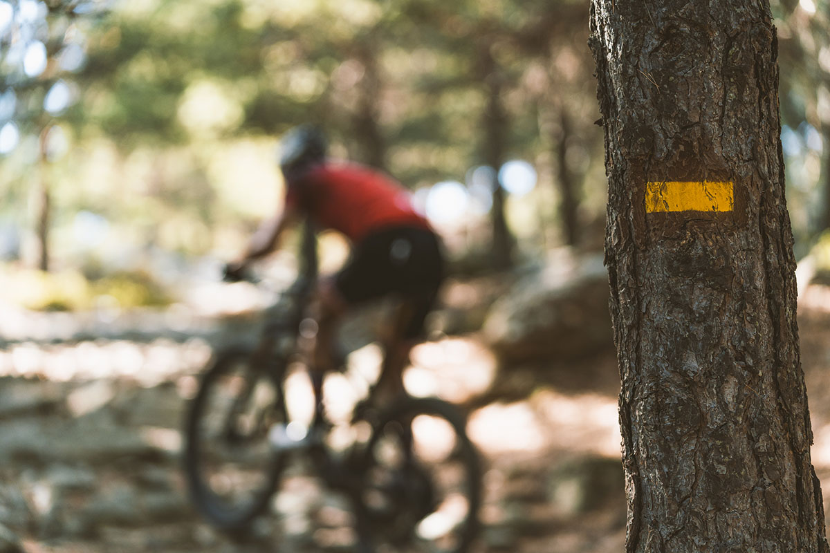 Specialized Epic EVO PRO