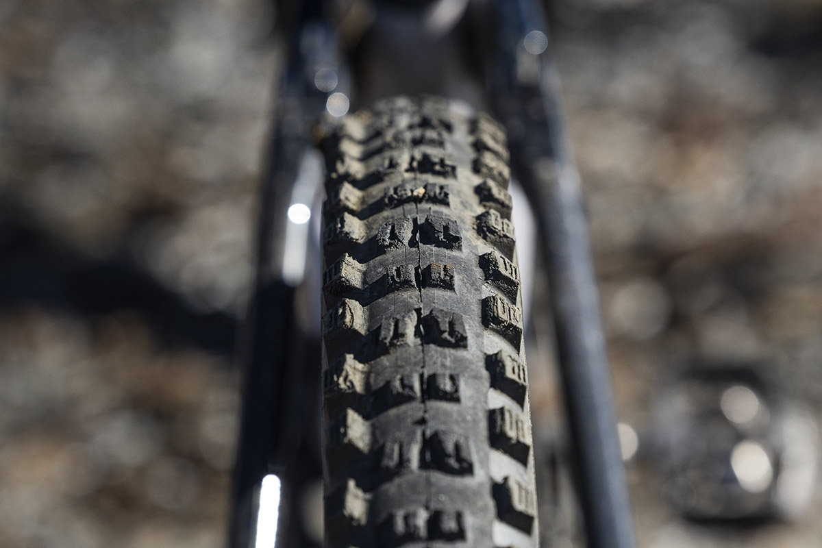 ¡Las cubiertas de Trans-Nomad! test de la Vittoria Mostro Enduro Race y Vittoria Mazza Enduro