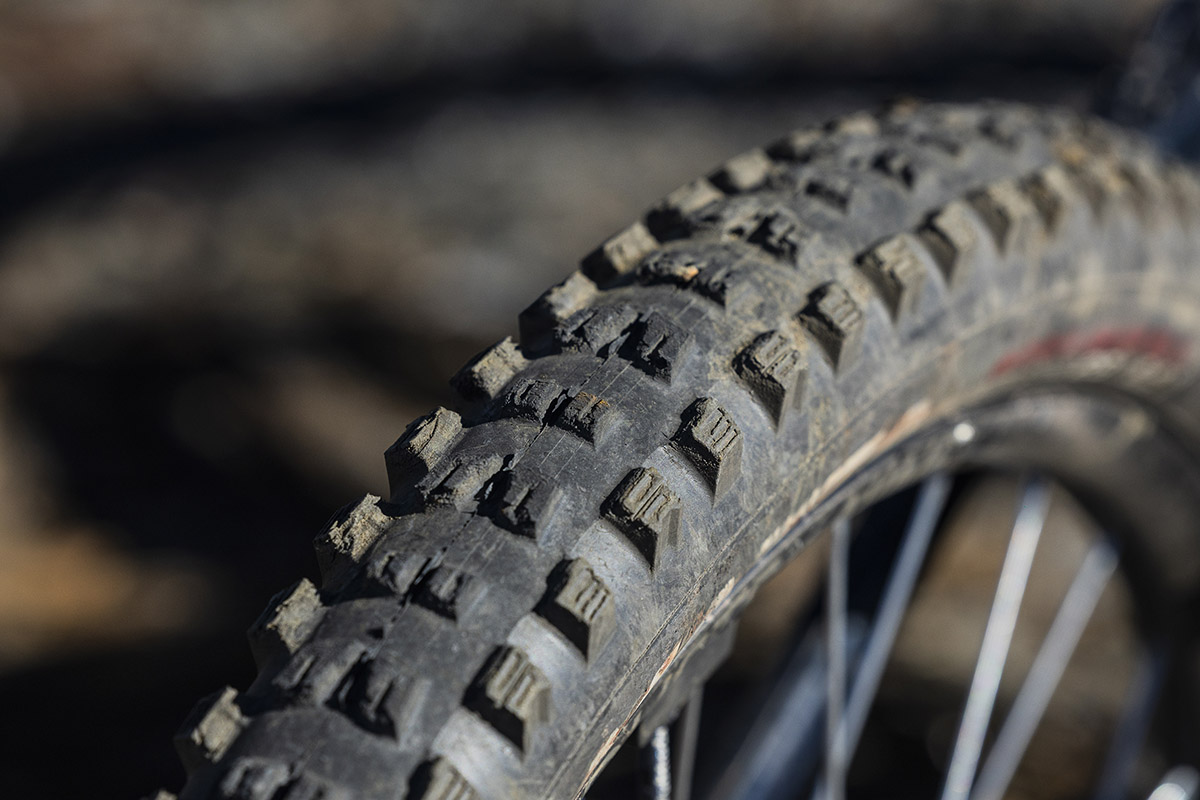 ¡Las cubiertas de Trans-Nomad! test de la Vittoria Mostro Enduro Race y Vittoria Mazza Enduro