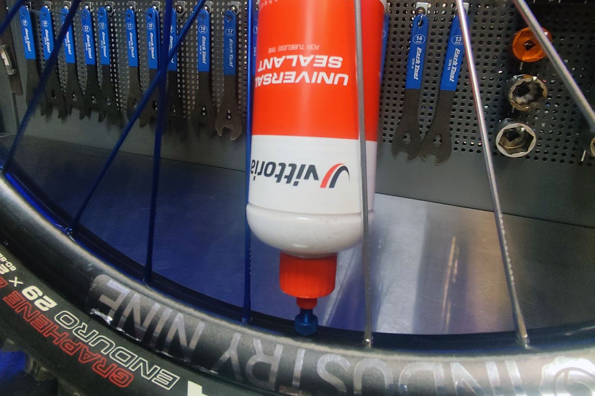 ¡Las cubiertas de Trans-Nomad! test de la Vittoria Mostro Enduro Race y Vittoria Mazza Enduro