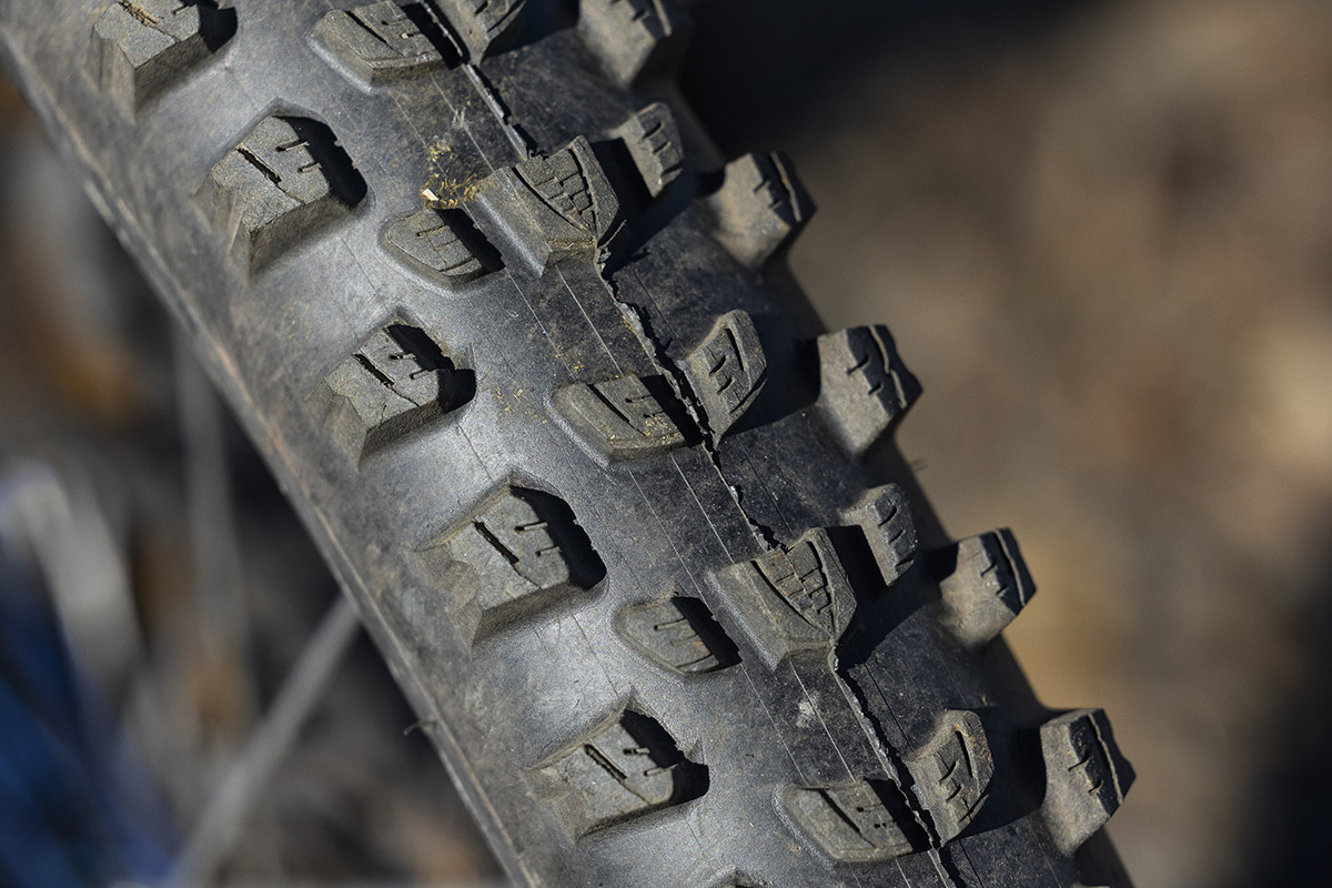 ¡Las cubiertas de Trans-Nomad! test de la Vittoria Mostro Enduro Race y Vittoria Mazza Enduro