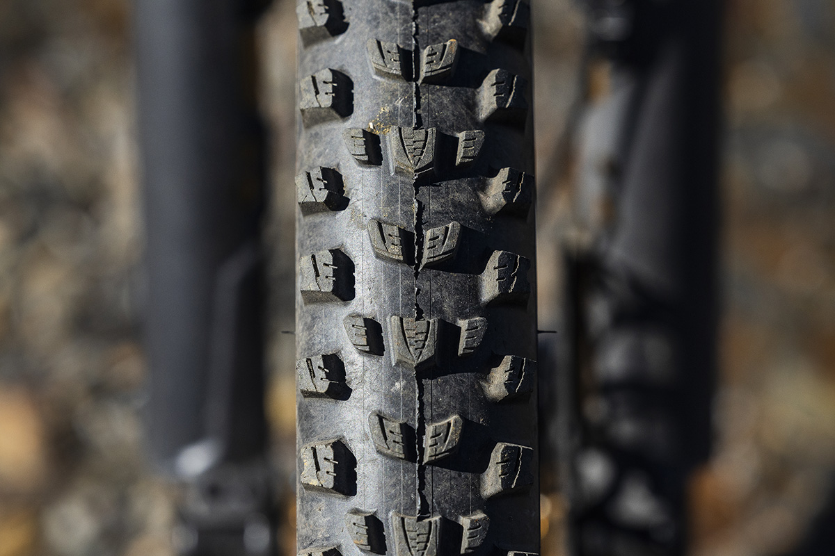 ¡Las cubiertas de Trans-Nomad! test de la Vittoria Mostro Enduro Race y Vittoria Mazza Enduro