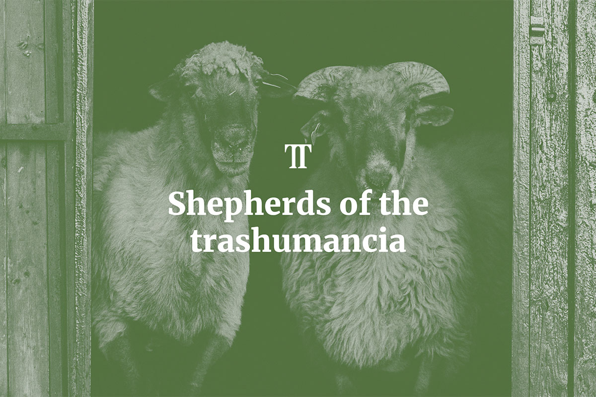 “Shepherds of the Trashumancia”, una tradición ancestral en Trail Tales de Orbea