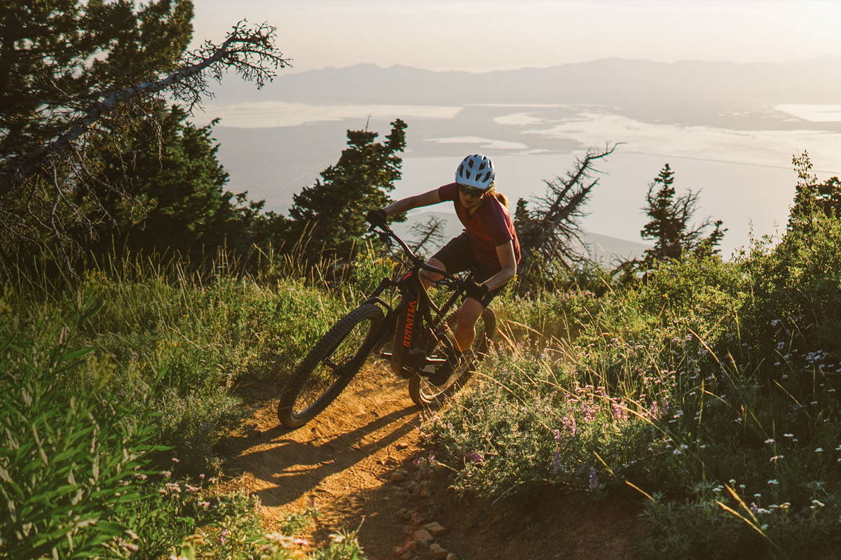 Specialized Turbo Levo 2021