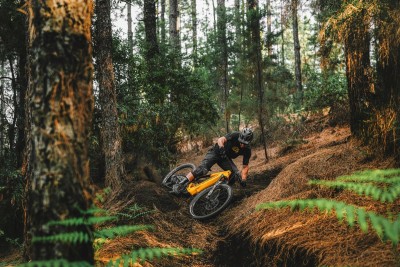 E-mtb ‘ligeras’ o ‘full power’ ¿Cuál es la mejor opción?