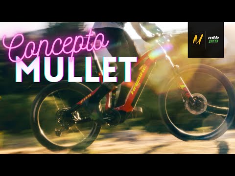 Vídeo MTB: Desde David Bowie hasta las e-Bikes, el concepto Mullet